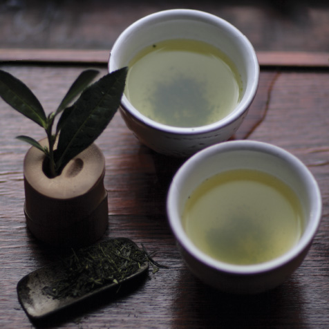 Sencha Bio-Thé Verde